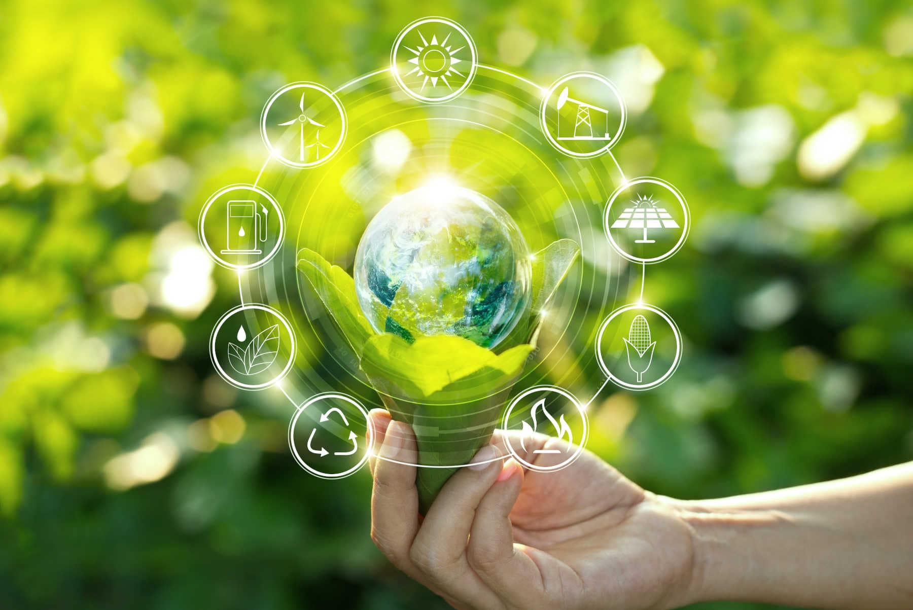 What Is Sustainability rteredaccountants ie